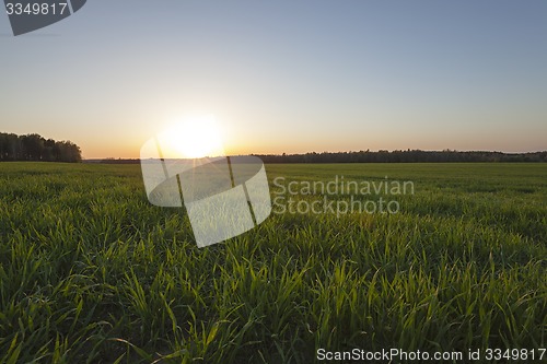 Image of agriculture  