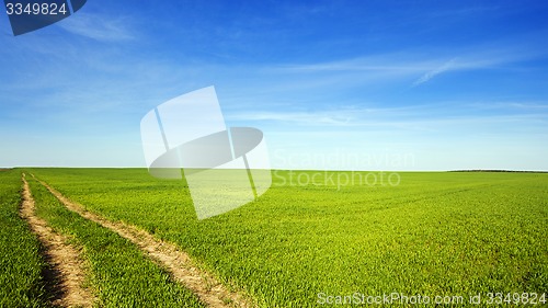 Image of the rural road  