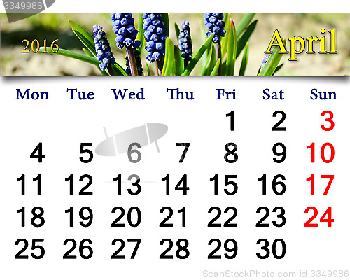 Image of calendar for April of 2016 with muscari