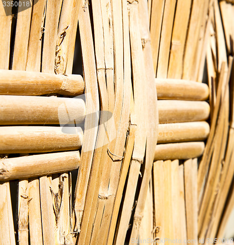 Image of texture bamboo in morocco africa brown natural line closeup