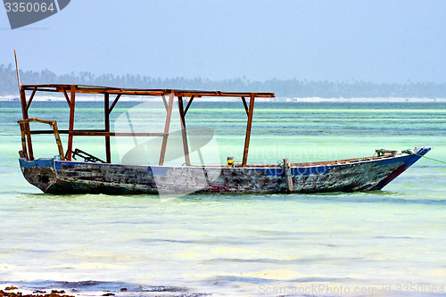 Image of beach   in zanzibar seaweed tree