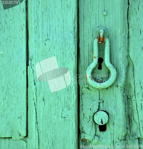 Image of canarias brass brown knocker in a green 