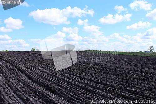 Image of plowed land ready for planting potato in village