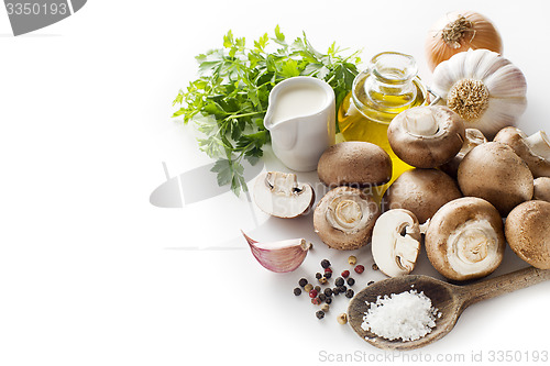 Image of Mushrooms 