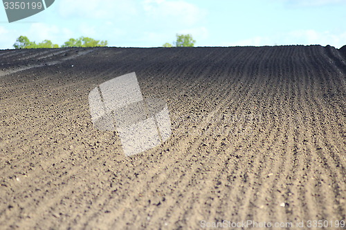 Image of plowed land ready for planting potato in village