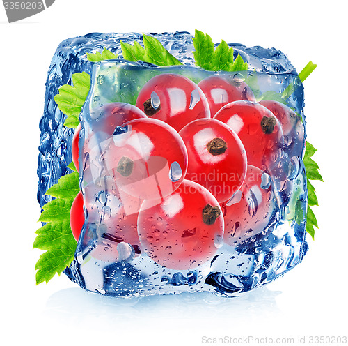 Image of Red currant in ice