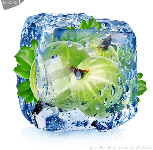 Image of Gooseberry in ice cube