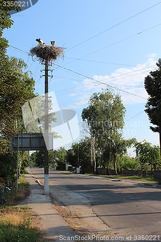 Image of Nest of storks in village