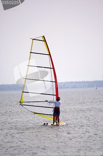 Image of Windsurfer