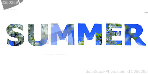 Image of word summer made from photo of blossoming flowers