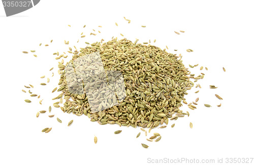 Image of Dried fennel seeds