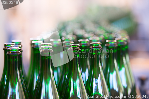 Image of Many bottles on conveyor belt