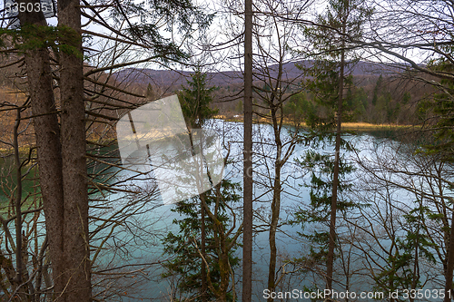 Image of Small Pond at Plitvice lakes national park