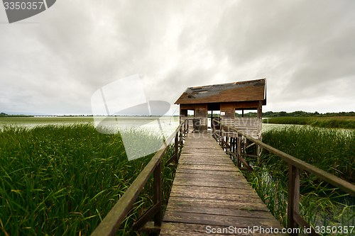 Image of Wooden path trough the reed