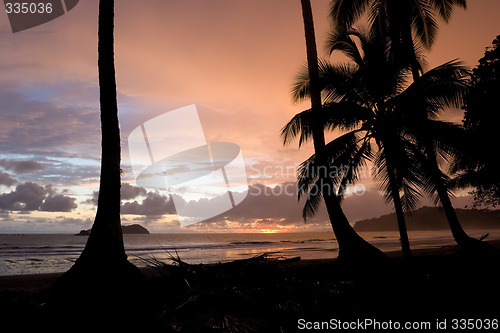 Image of Tropical Sunset