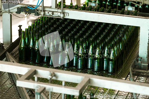 Image of Many bottles on conveyor belt