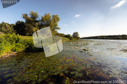 Image of Peaceful place at the pond