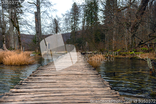 Image of Wooden path trough the lakes