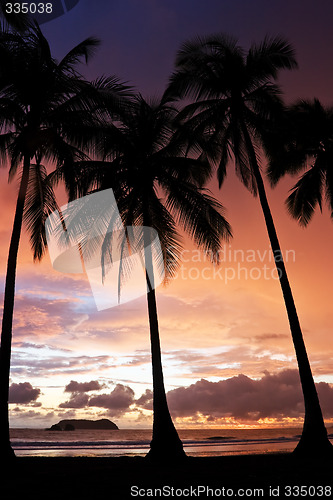 Image of Tropical Sunset