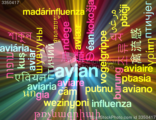 Image of Avian multilanguage wordcloud background concept glowing