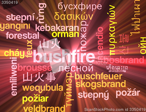 Image of Bushfire multilanguage wordcloud background concept glowing