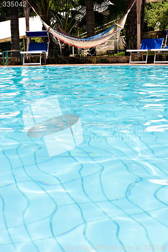 Image of Hammock by the Pool
