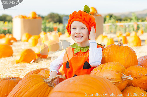 Image of pumpkin patch