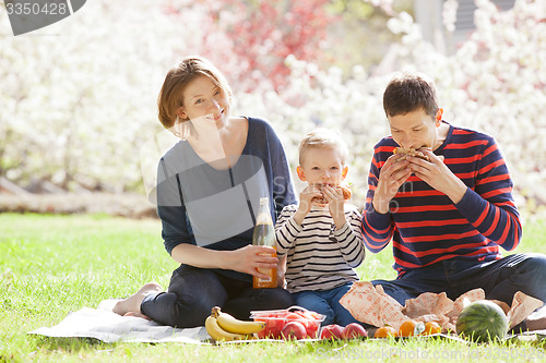 Image of family picnic