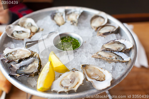 Image of fresh oysters