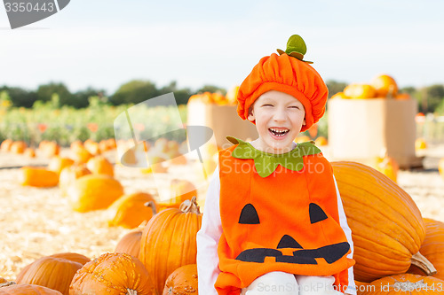 Image of pumpkin patch