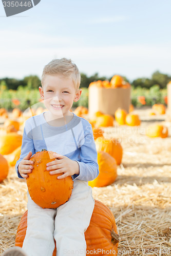 Image of pumpkin patch