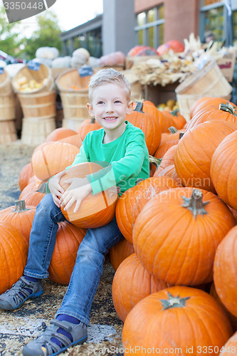 Image of pumpkin patch