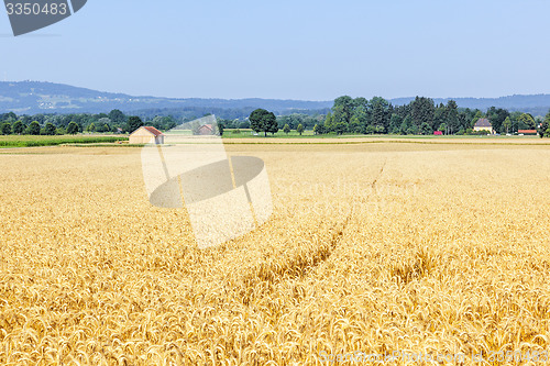 Image of countryside