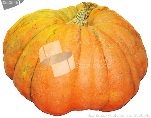 Image of Pumpkin