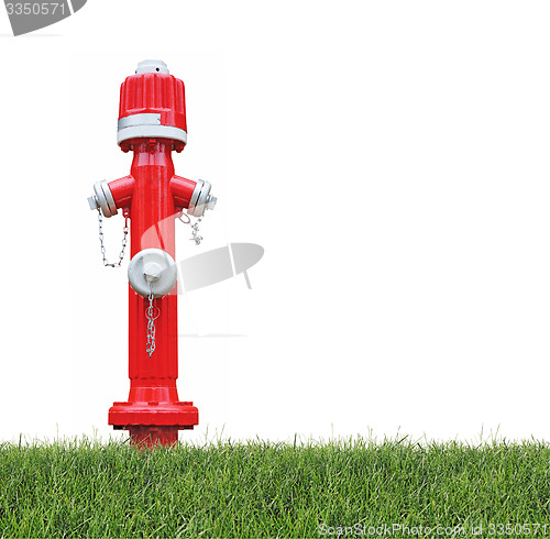 Image of Hydrant in the grass