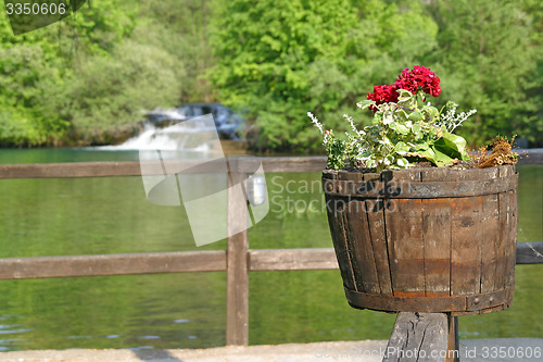 Image of Flower and rivers