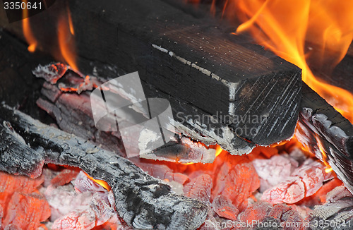 Image of Firewood