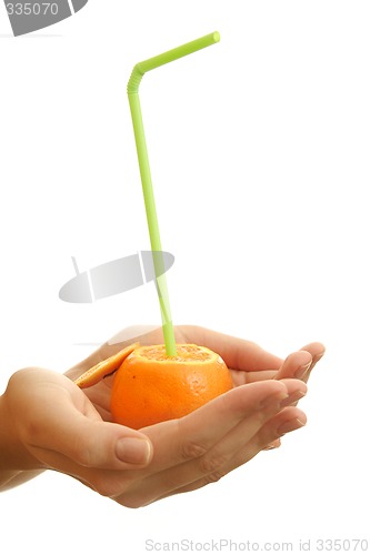 Image of Oranges
