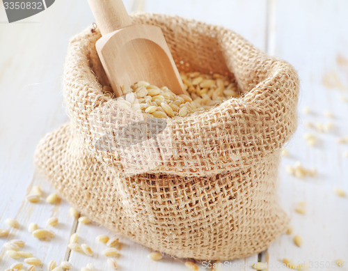 Image of pearl barley