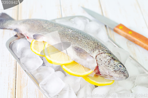 Image of raw trout