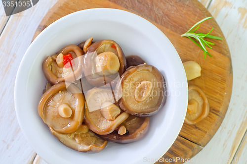 Image of mushrooms