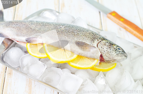 Image of raw trout