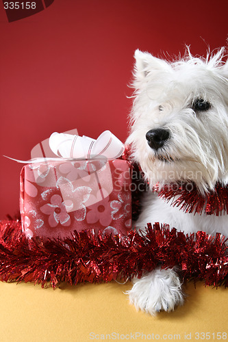 Image of Santa claus
