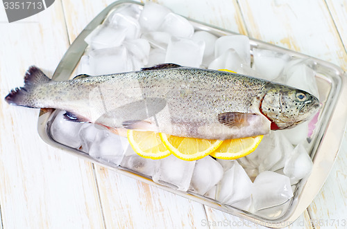 Image of raw trout