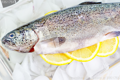 Image of raw trout