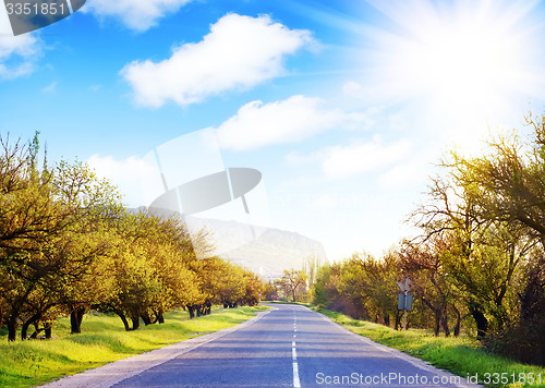 Image of road in Crimea