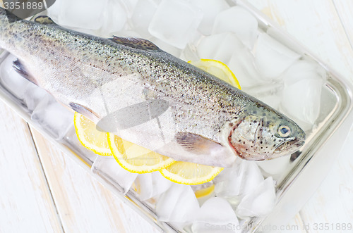 Image of raw trout