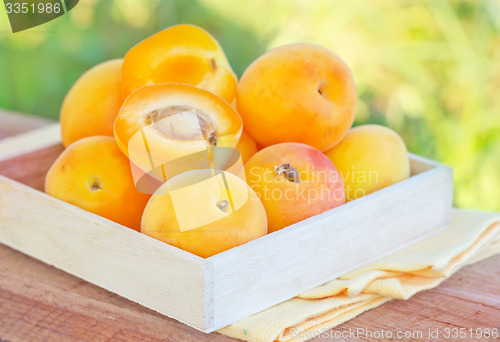 Image of apricot