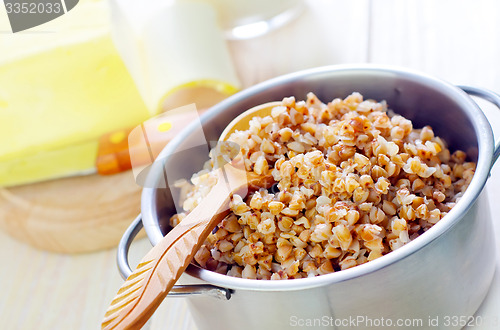 Image of buckwheat