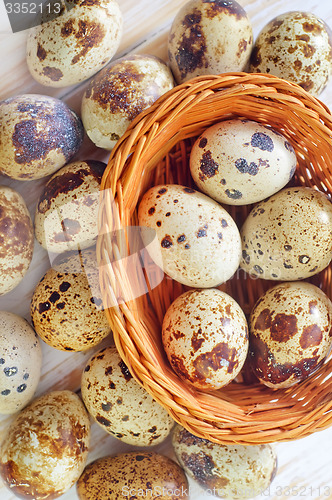 Image of quail eggs